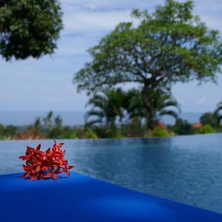 Puri Mangga Sea View Resort And Spa Ловина Экстерьер фото